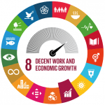 Decent work statistics and the Sustainable Development Goals
