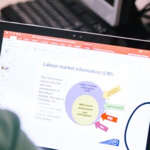 Institutional capacity building for effective labour market information systems (LMIS)