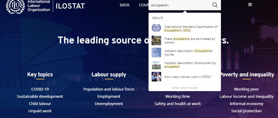 Statistiques sur l'économie informelle - ILOSTAT